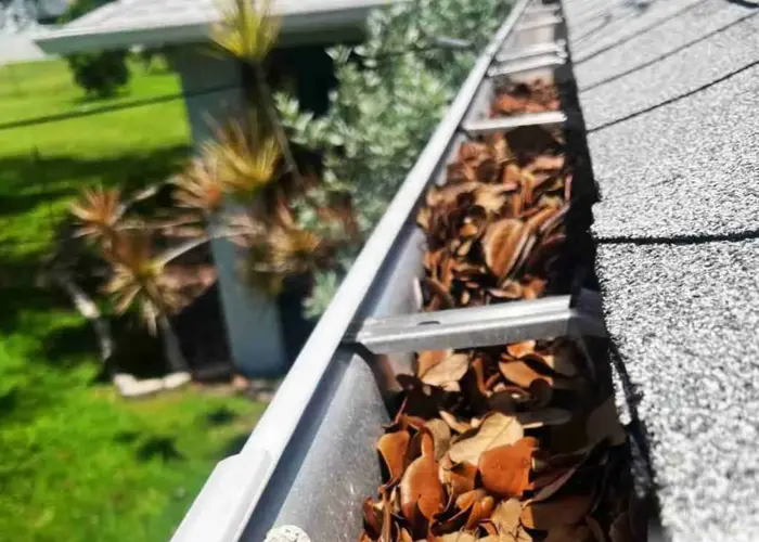 Wildwood gutter cleaning home page